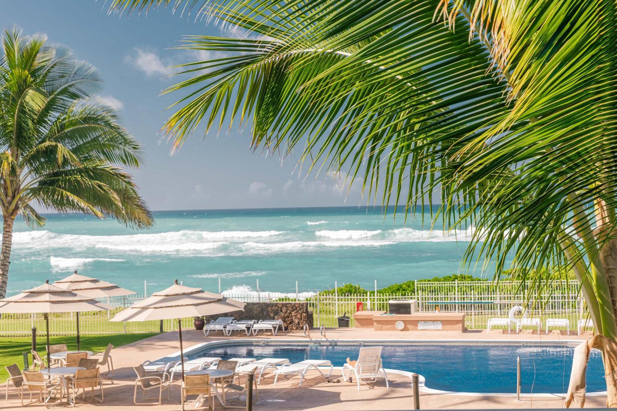 ***Serendipity On The Moana - Legal & Oceanfront - Great For Work & Play!*** Waianae Eksteriør billede